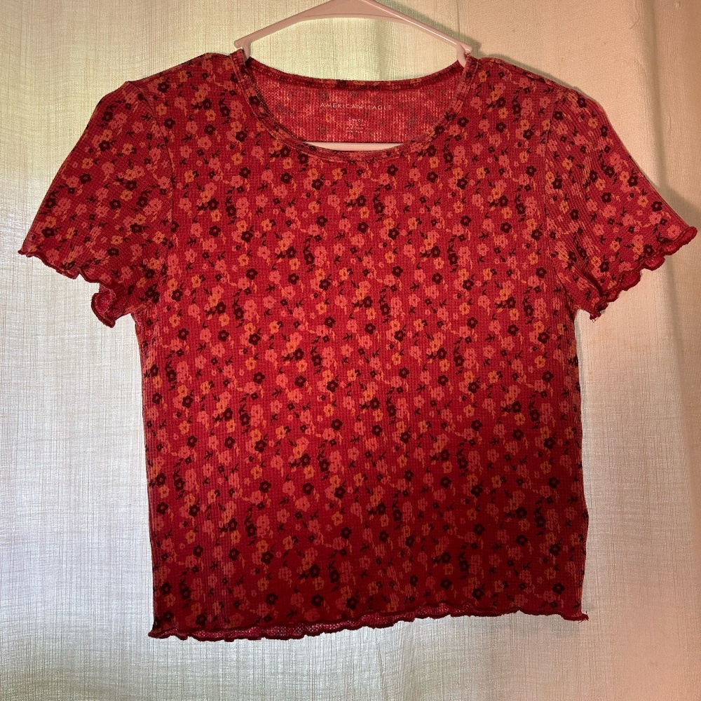 American Eagle Outfitters Women's Pink and Red Crop-Top